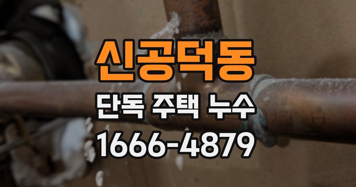 신공덕동 단독 주택 누수