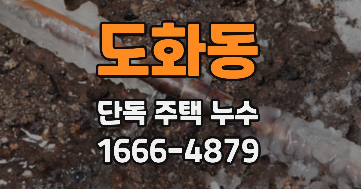 도화동 단독 주택 누수