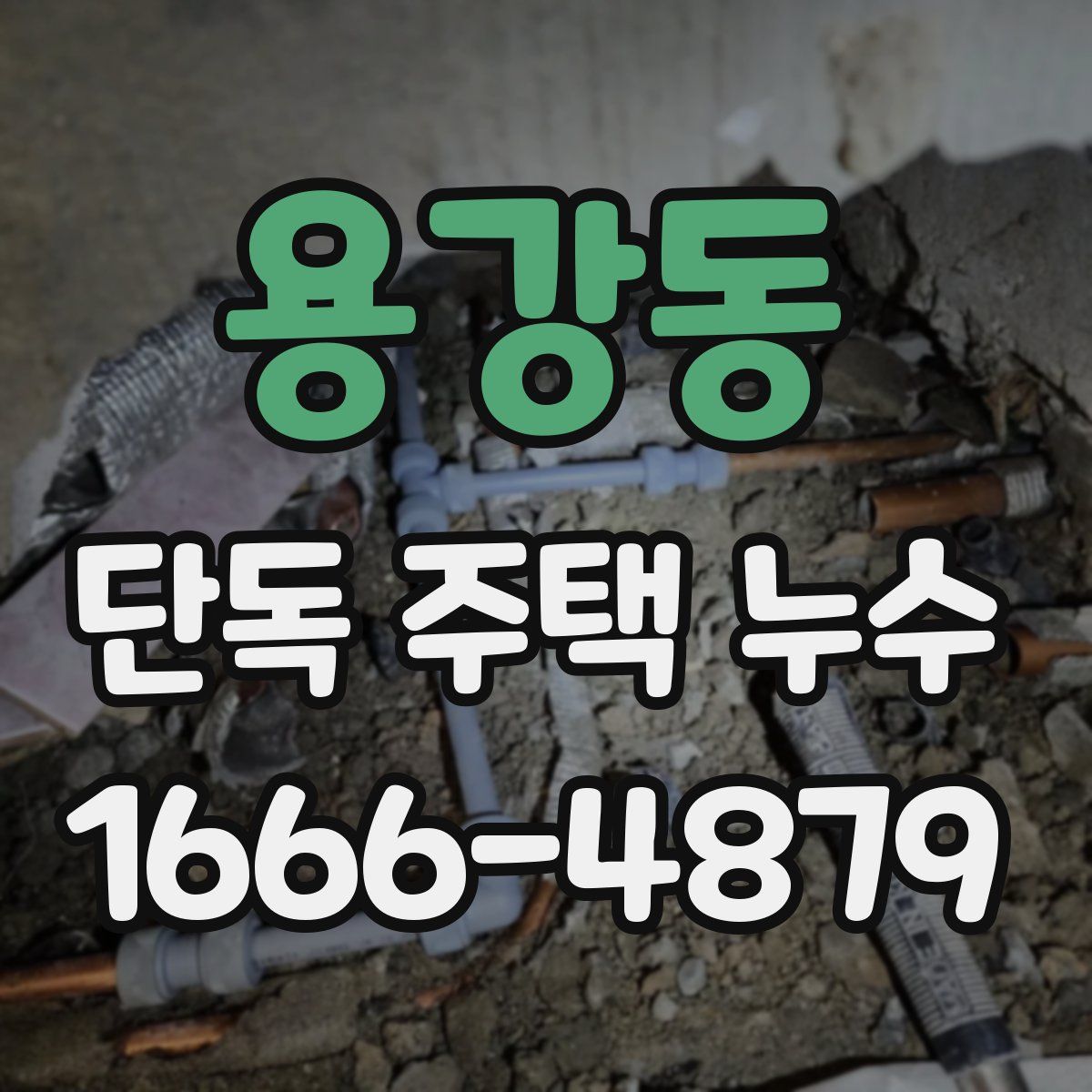 용강동 단독 주택 누수