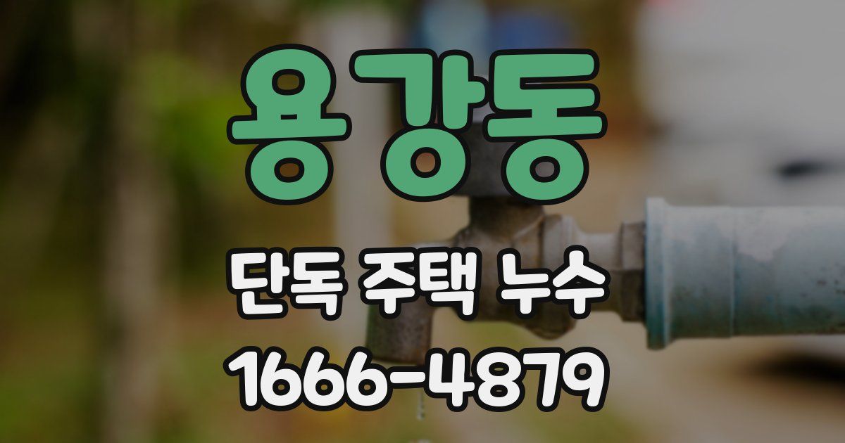 용강동 단독 주택 누수