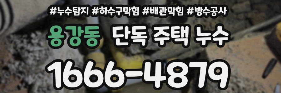 용강동 단독 주택 누수