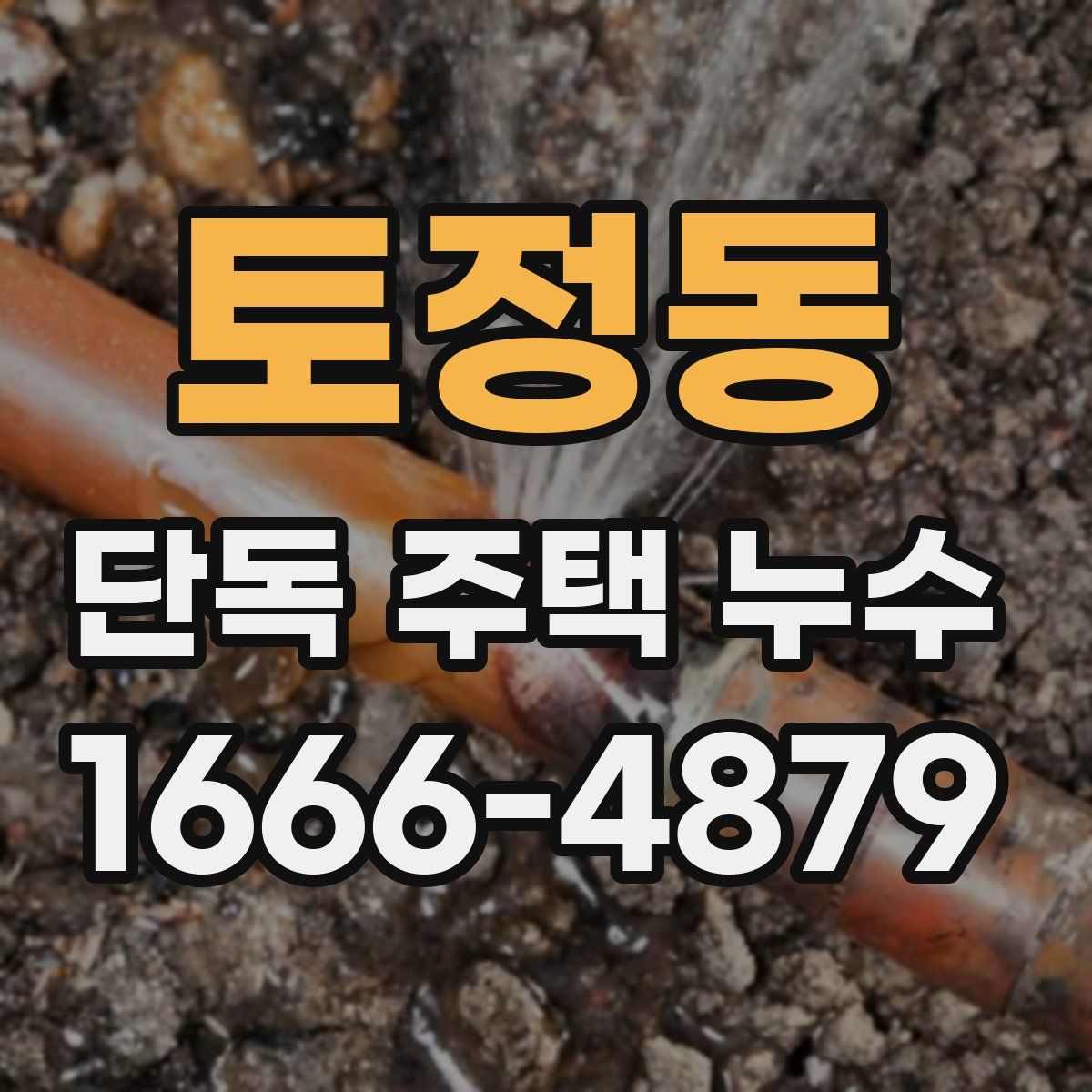 토정동 단독 주택 누수