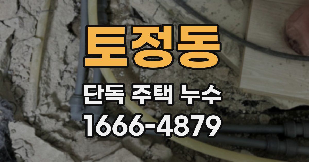 토정동 단독 주택 누수