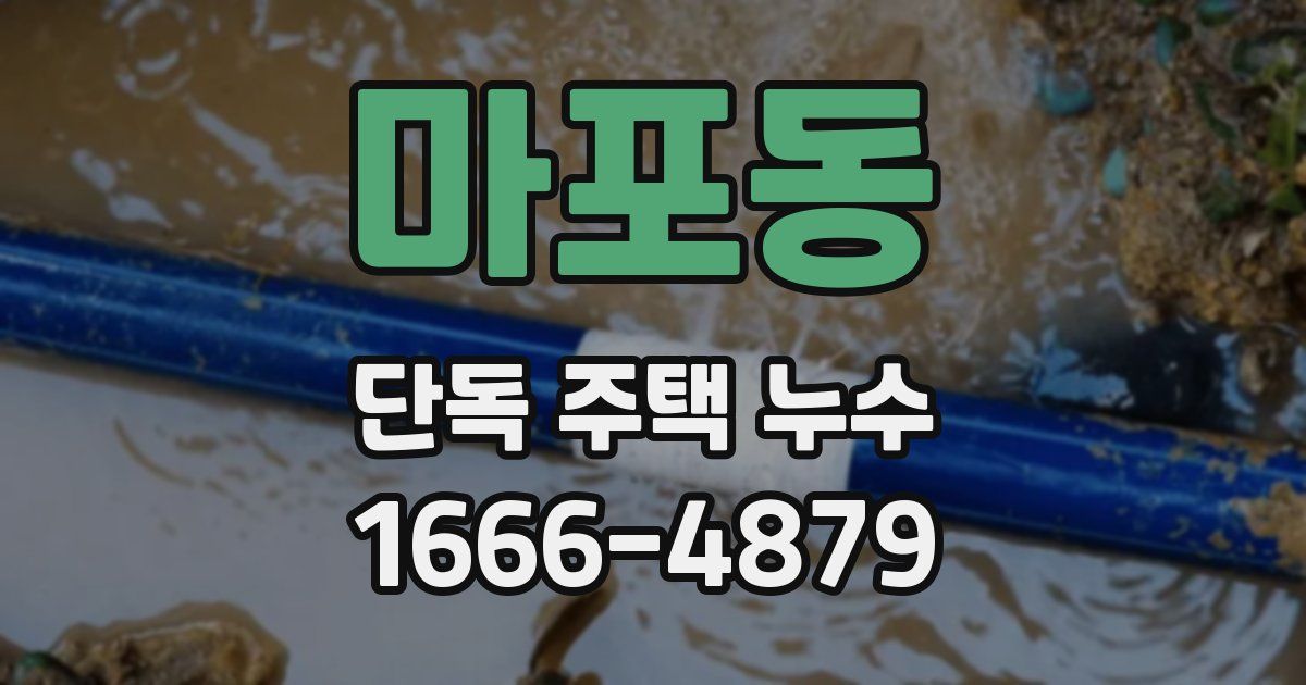 마포동 단독 주택 누수
