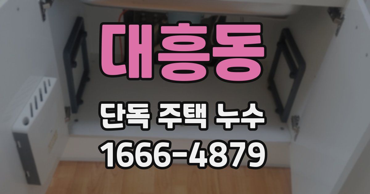 대흥동 단독 주택 누수