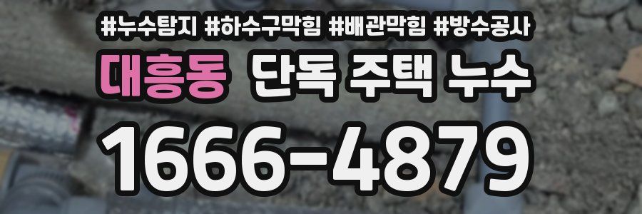 대흥동 단독 주택 누수