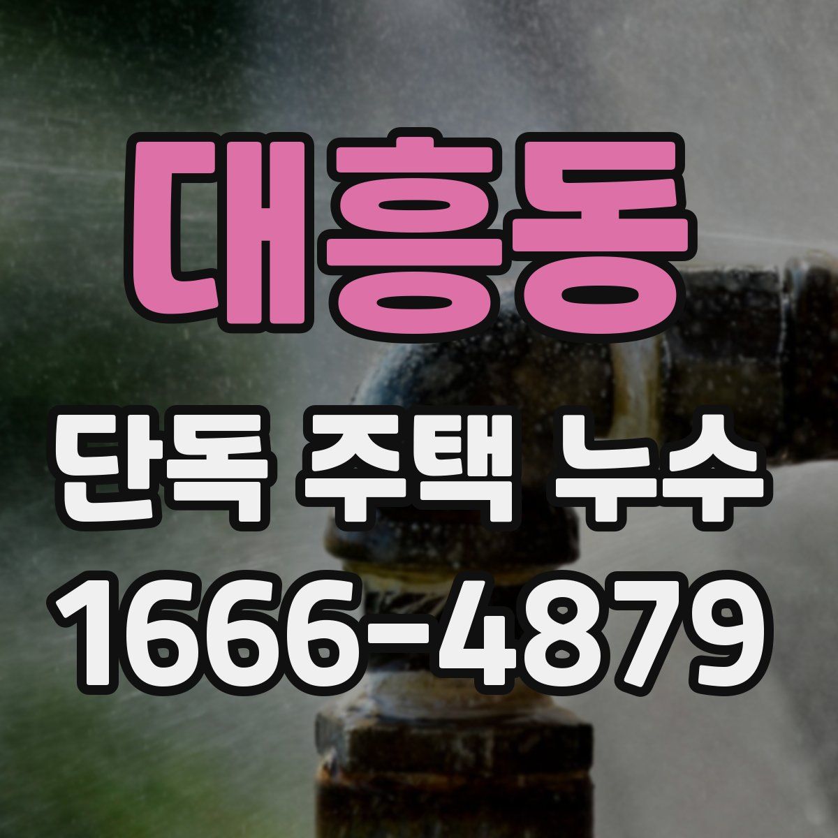 대흥동 단독 주택 누수