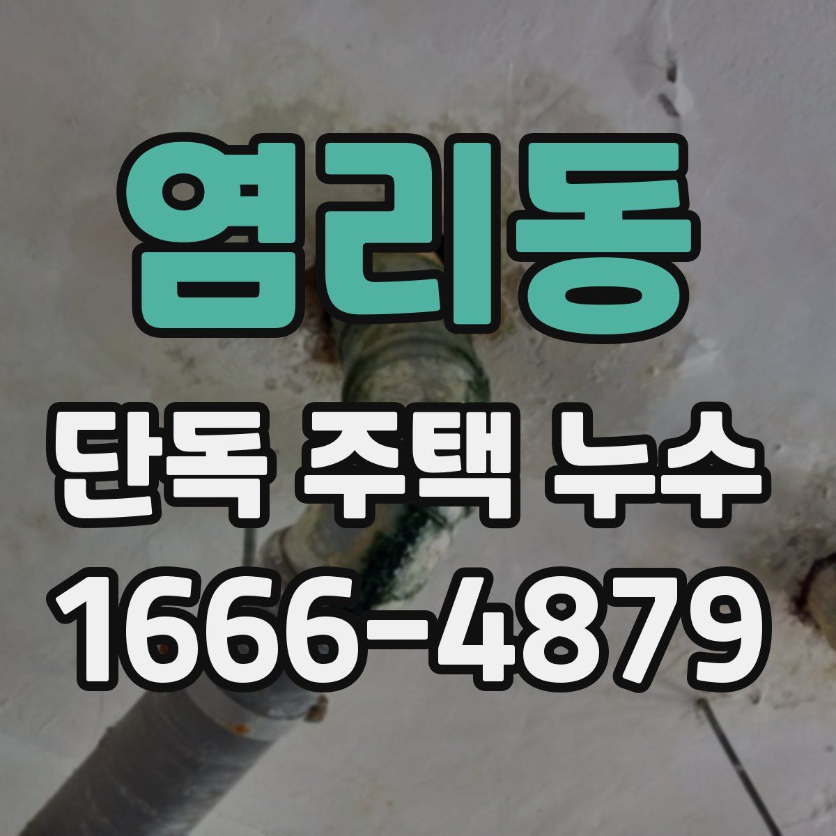 염리동 단독 주택 누수