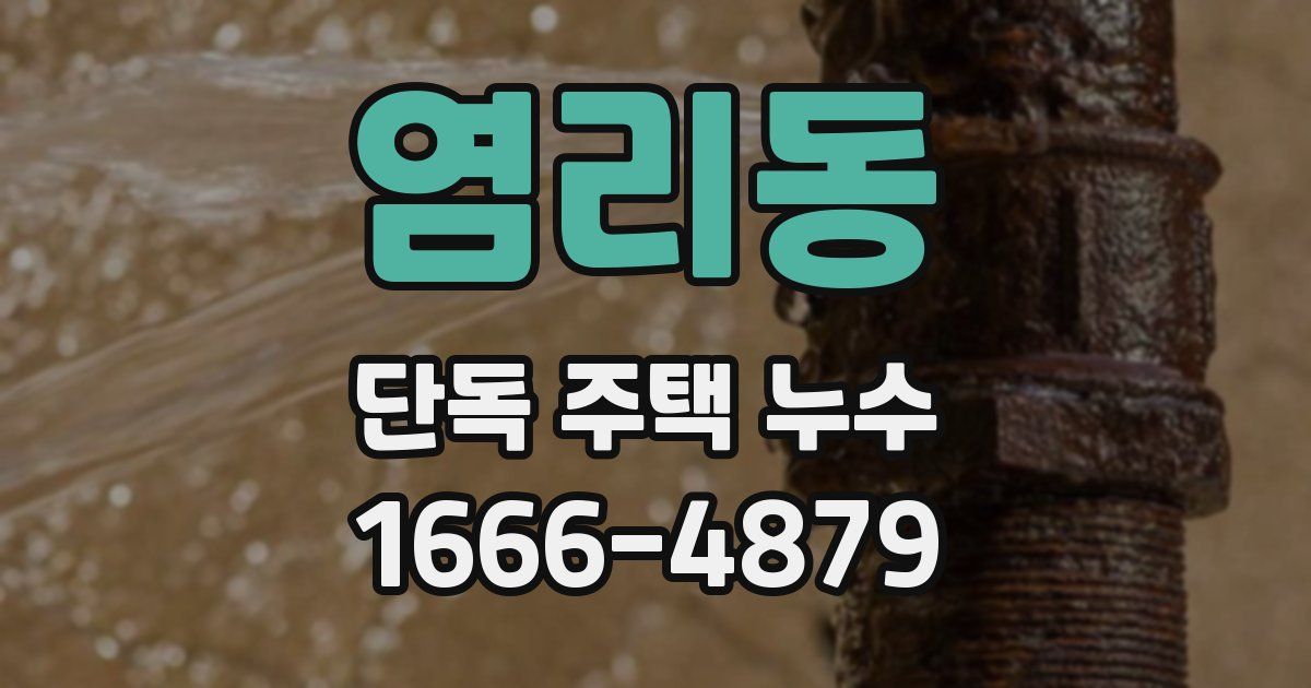 염리동 단독 주택 누수