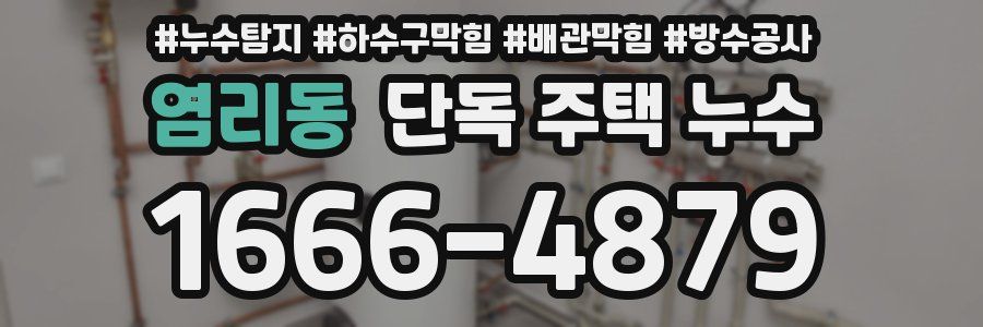 염리동 단독 주택 누수