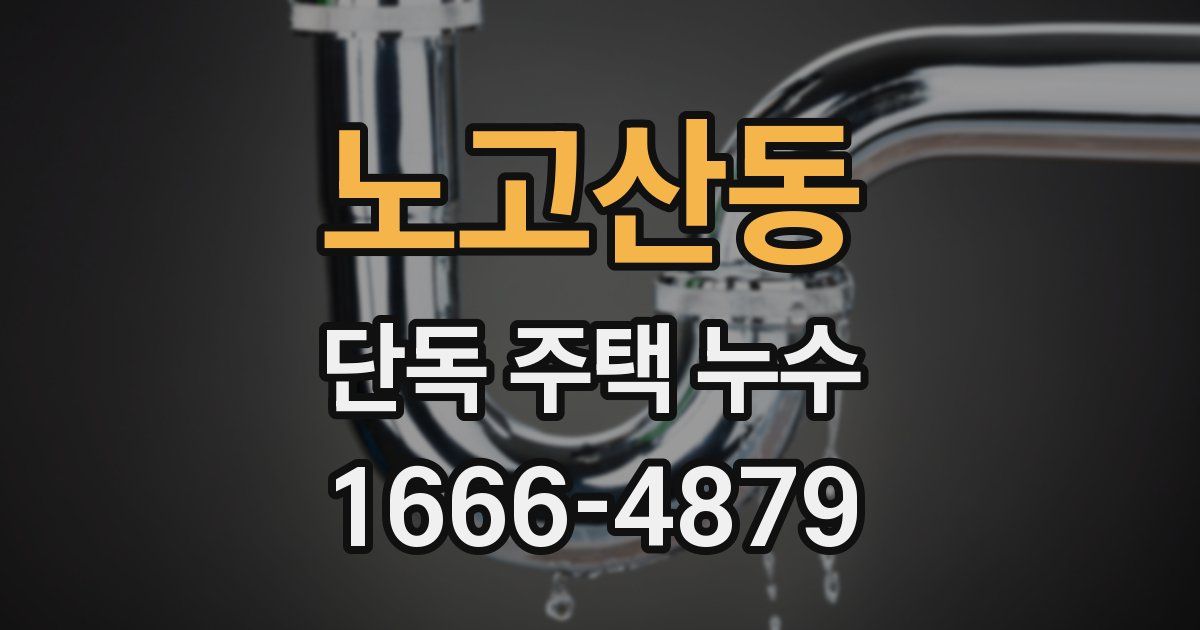 노고산동 단독 주택 누수
