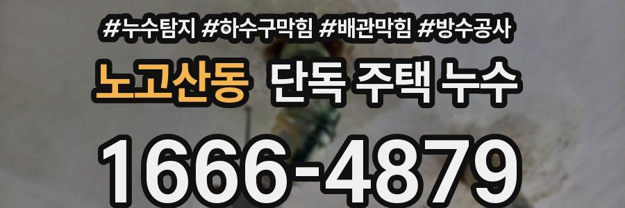 노고산동 단독 주택 누수