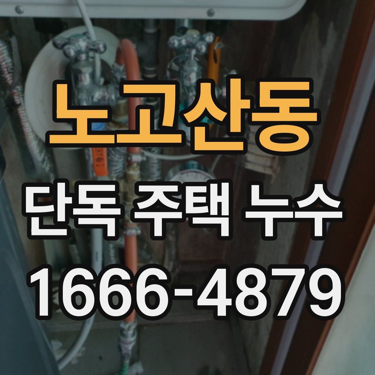 노고산동 단독 주택 누수