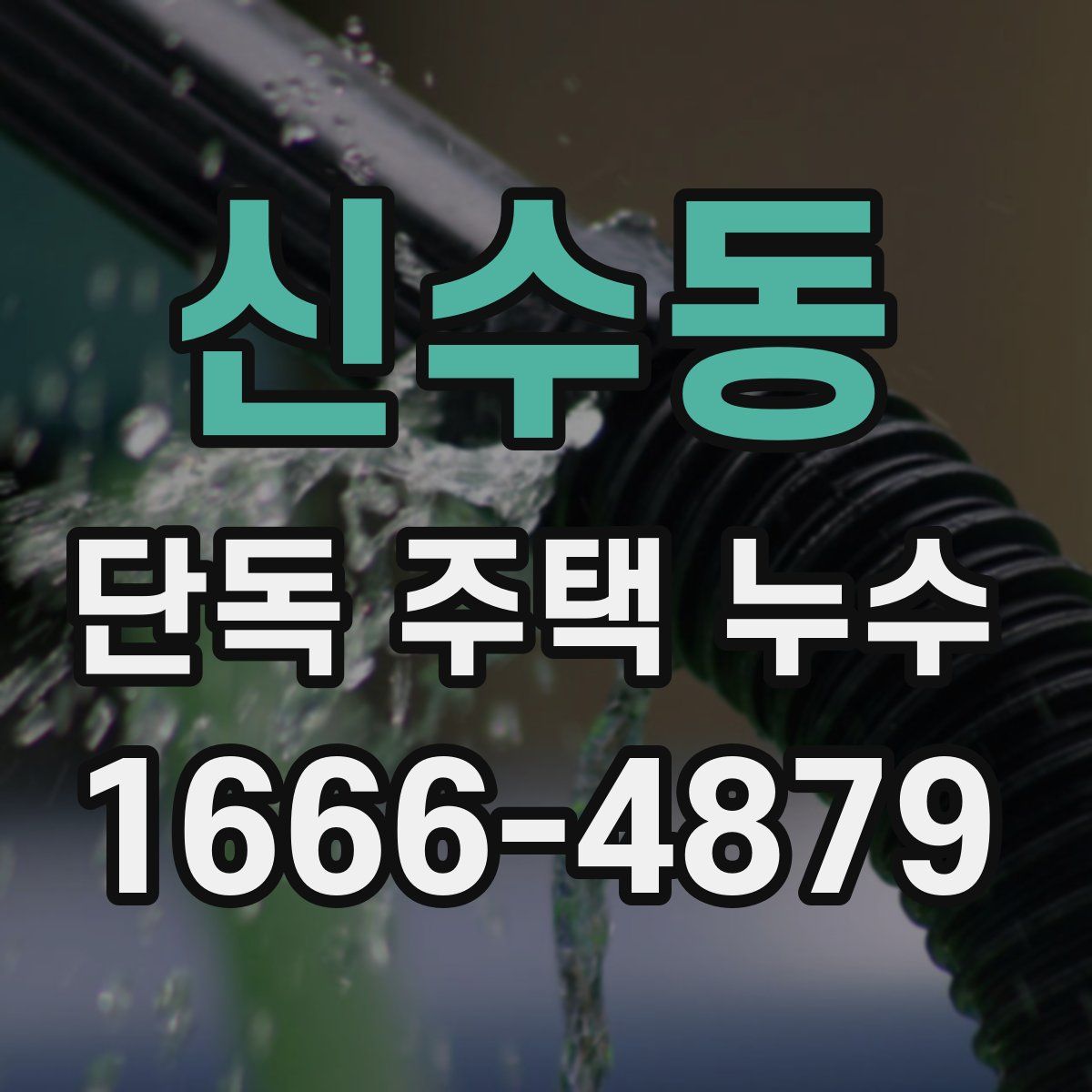 신수동 단독 주택 누수