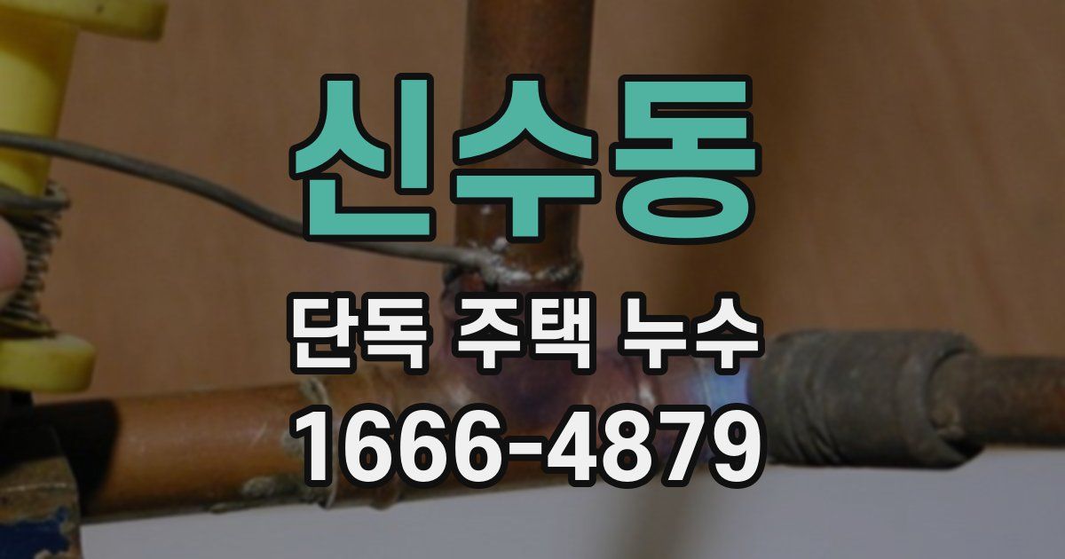 신수동 단독 주택 누수