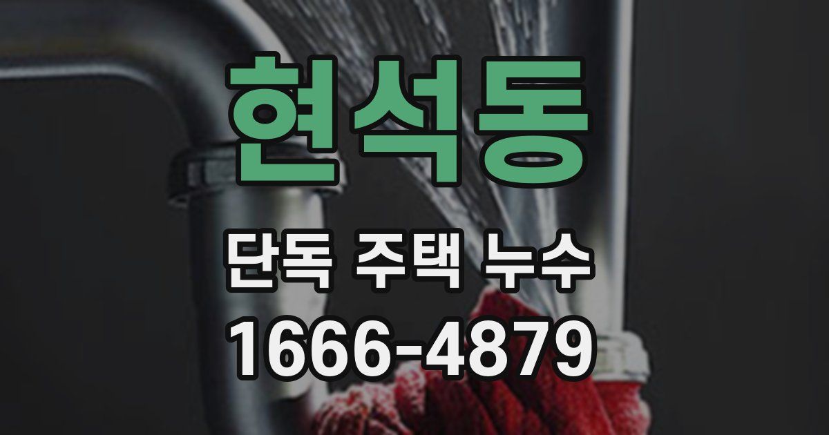 현석동 단독 주택 누수