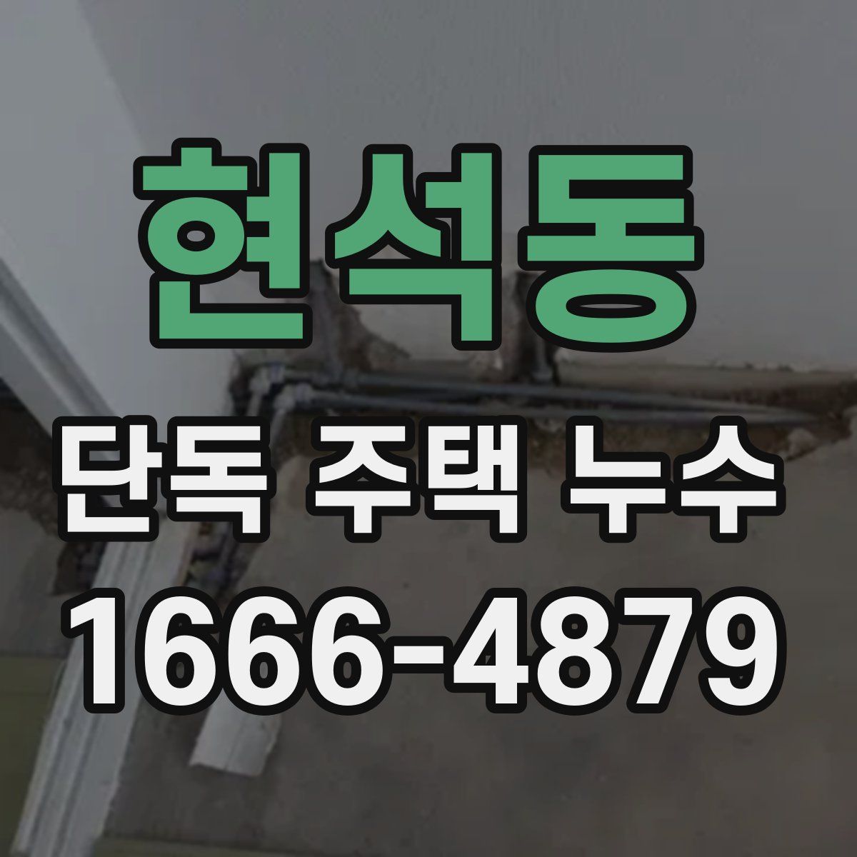 현석동 단독 주택 누수