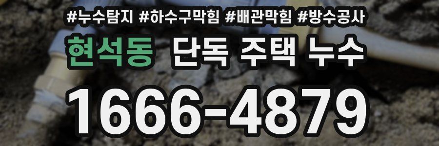 현석동 단독 주택 누수