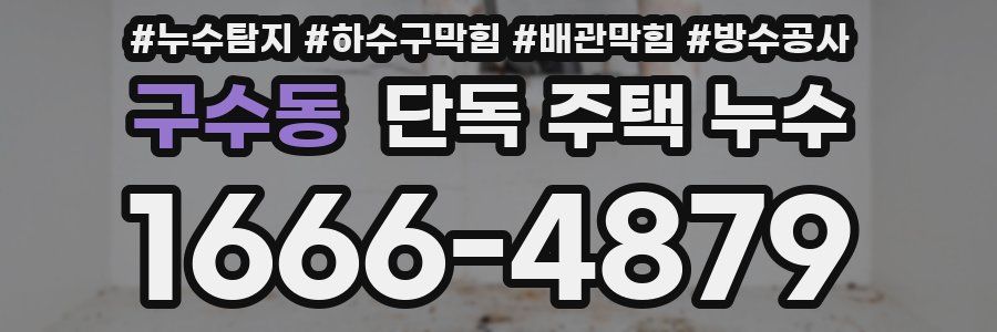 구수동 단독 주택 누수