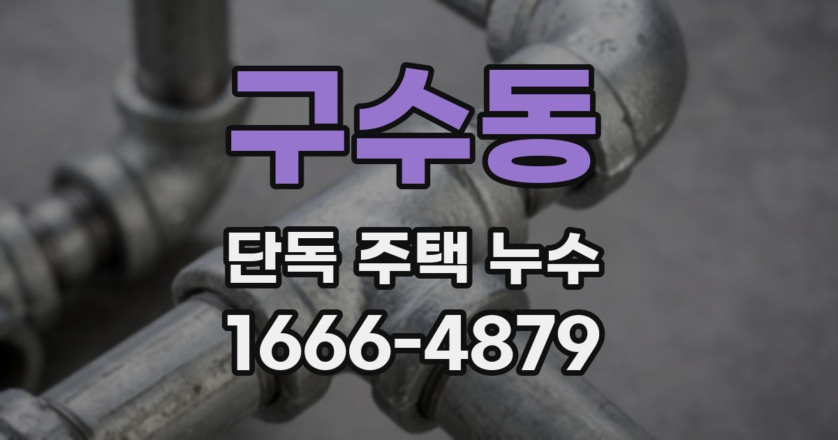 구수동 단독 주택 누수