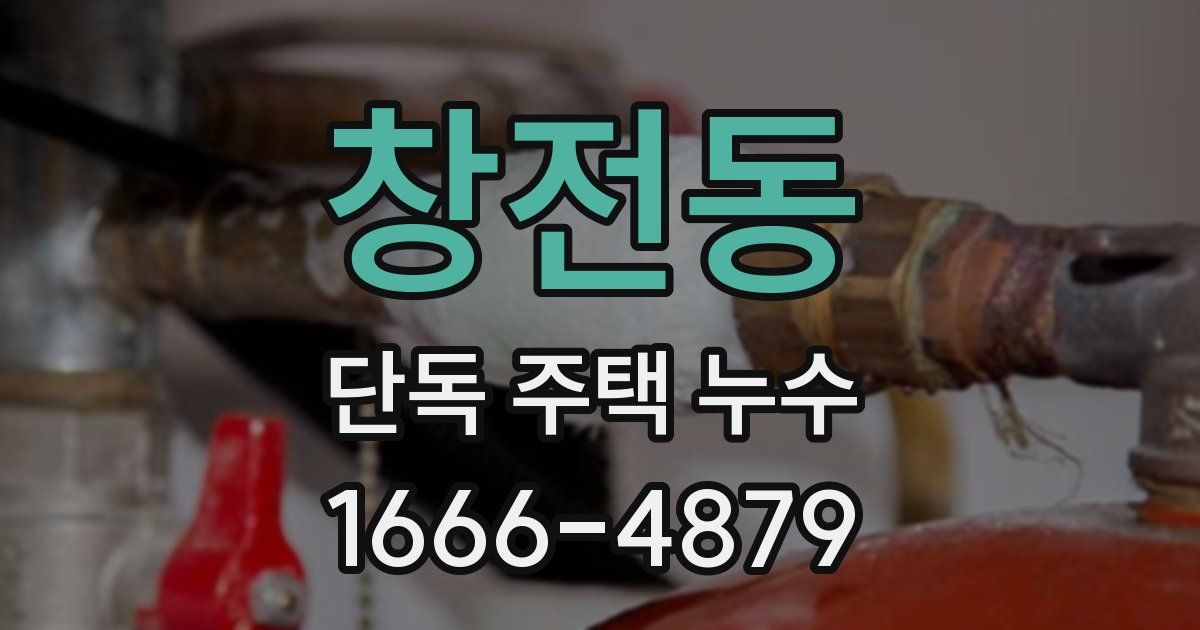 창전동 단독 주택 누수