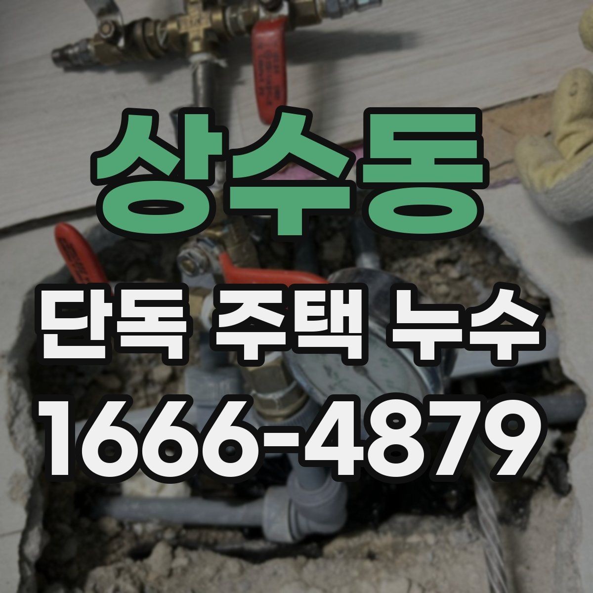 상수동 단독 주택 누수 옥상과 베란다를 함께 확인해야 하는 이유