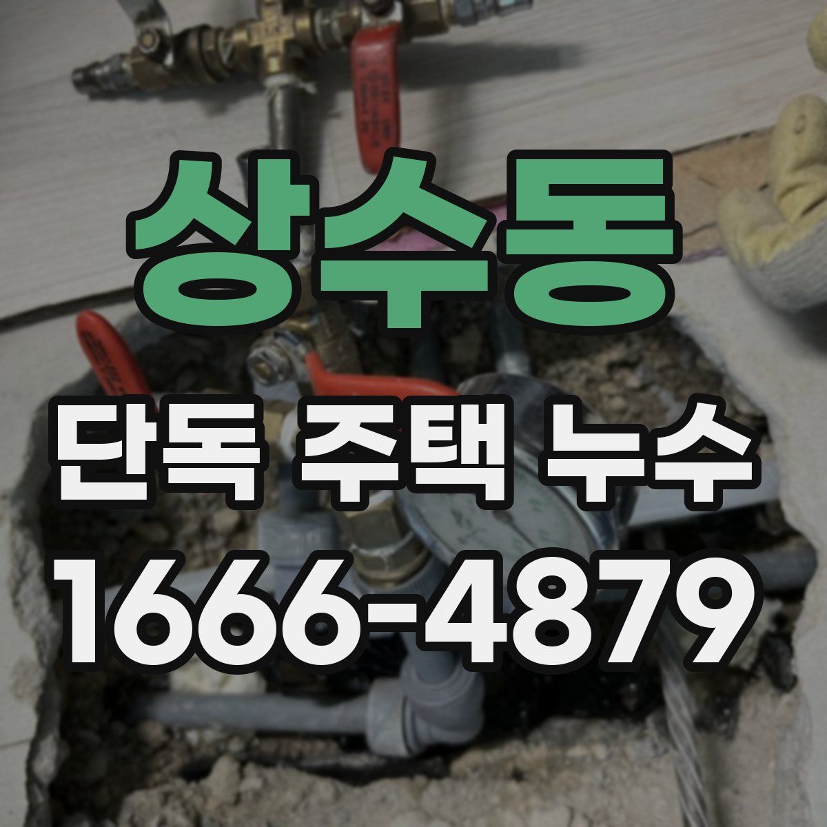 상수동 단독 주택 누수