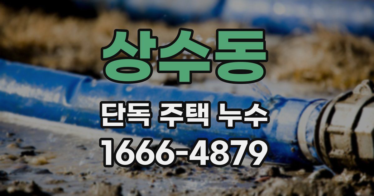 상수동 단독 주택 누수