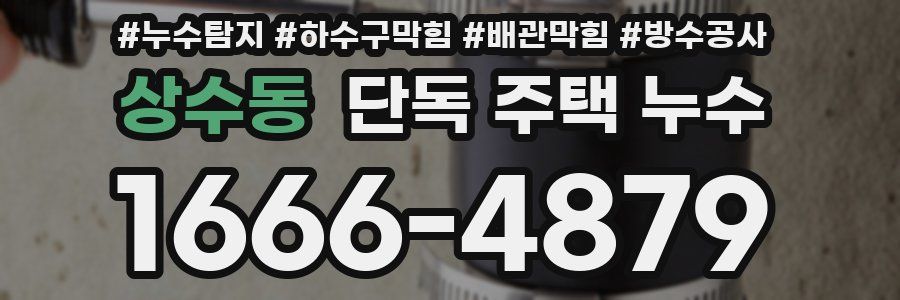상수동 단독 주택 누수