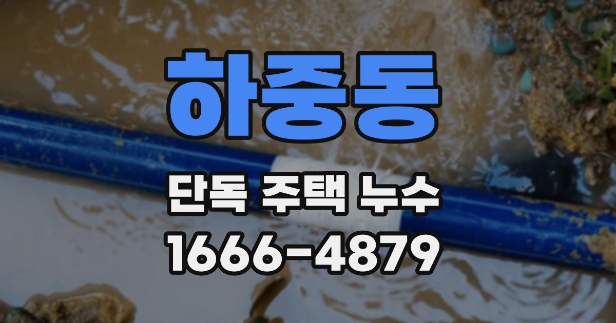 하중동 단독 주택 누수