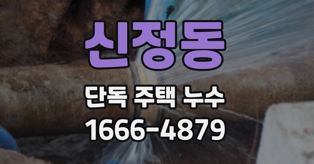 신정동 단독 주택 누수