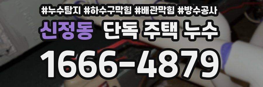 신정동 단독 주택 누수