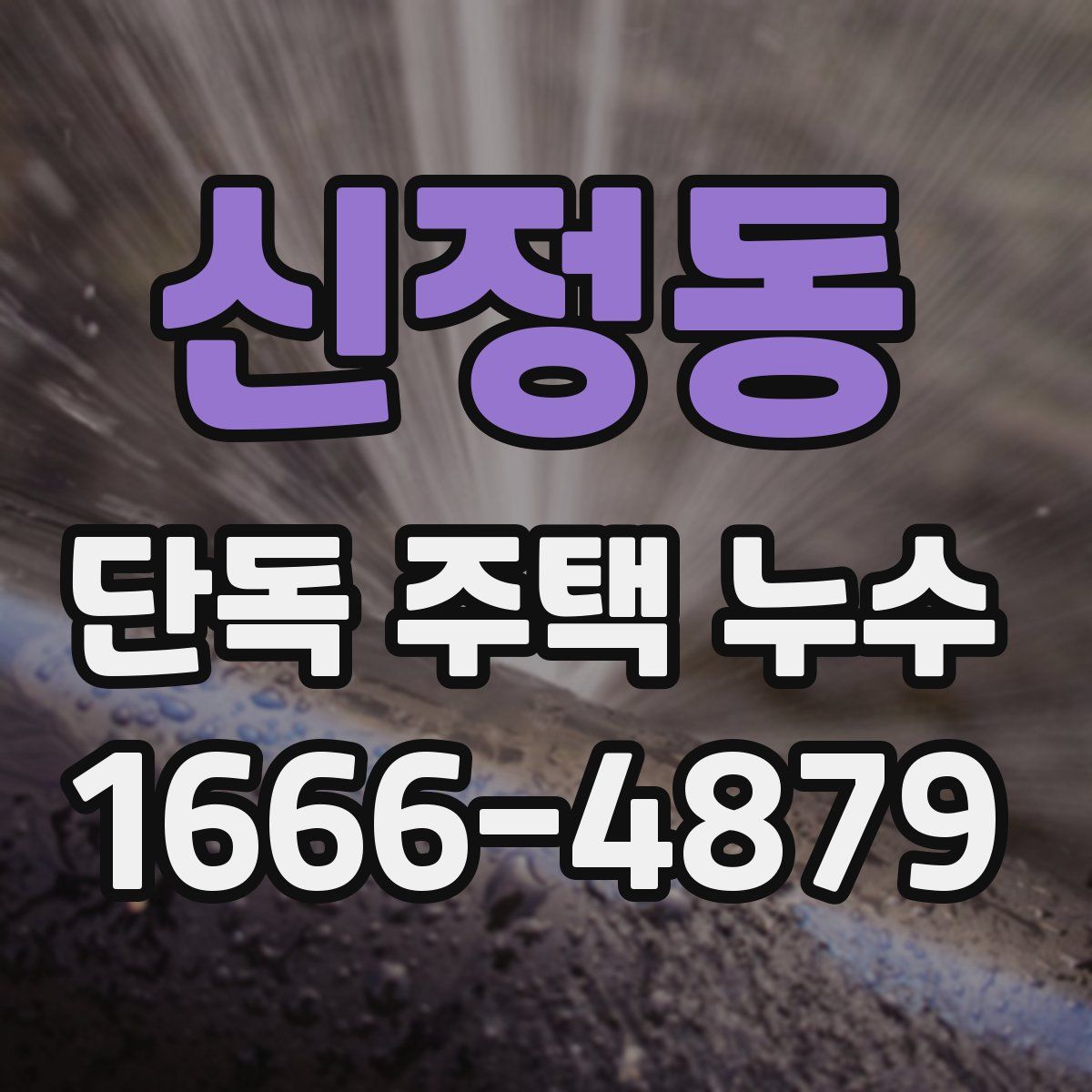 신정동 단독 주택 누수