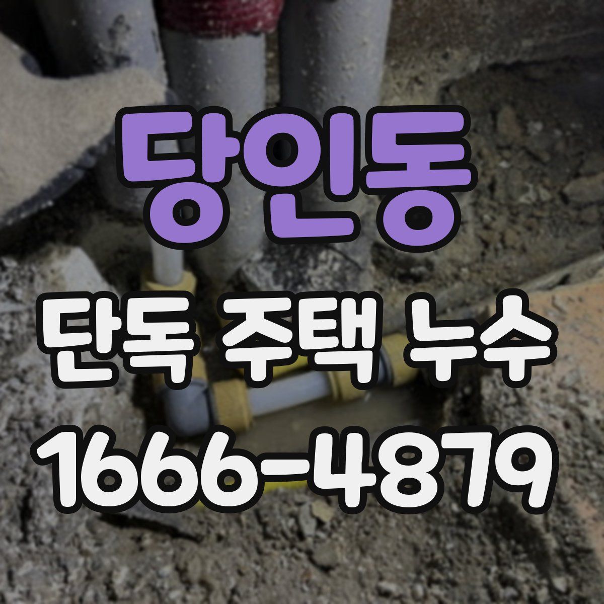 당인동 단독 주택 누수