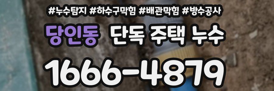 당인동 단독 주택 누수