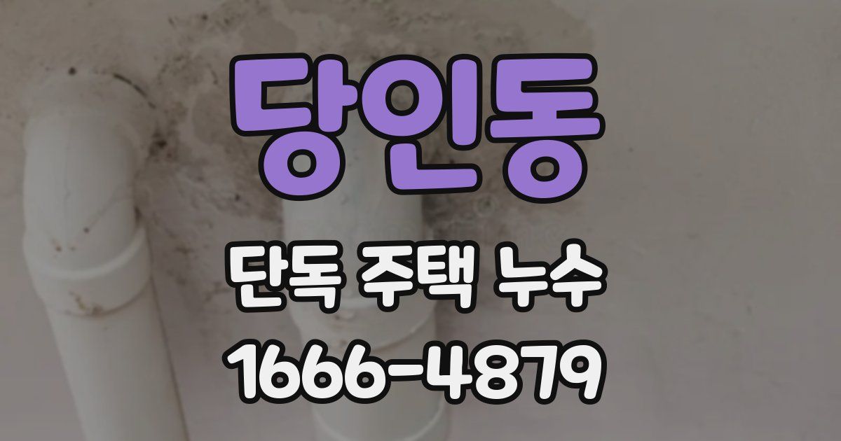 당인동 단독 주택 누수