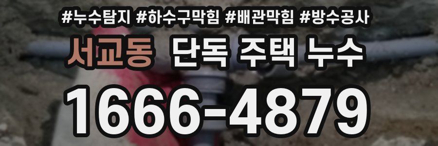 서교동 단독 주택 누수