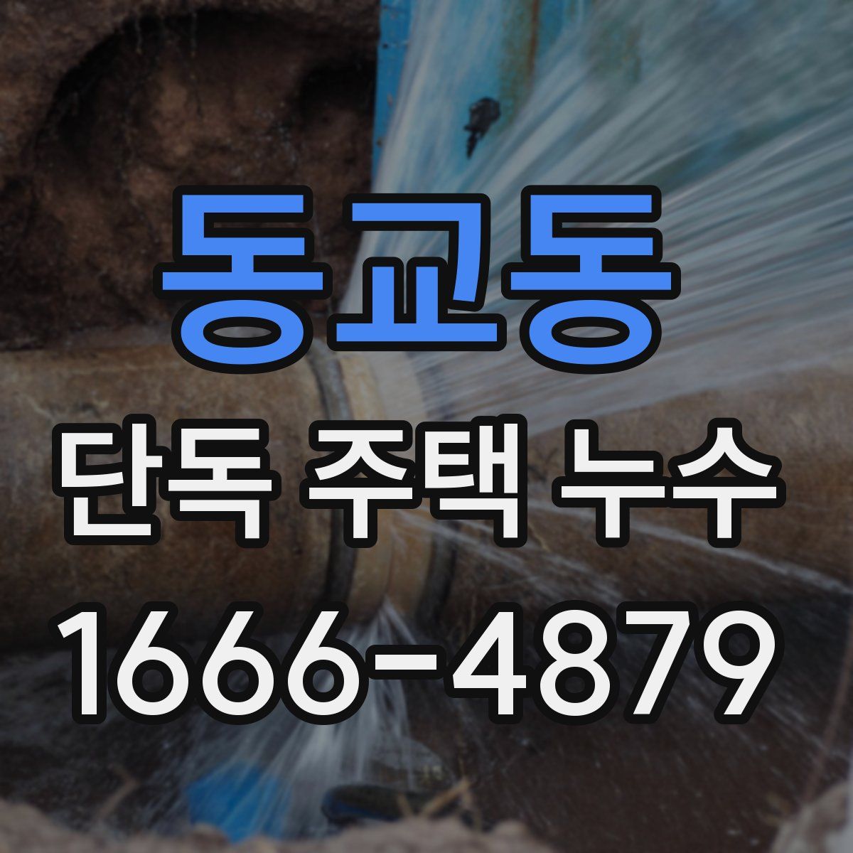 동교동 단독 주택 누수