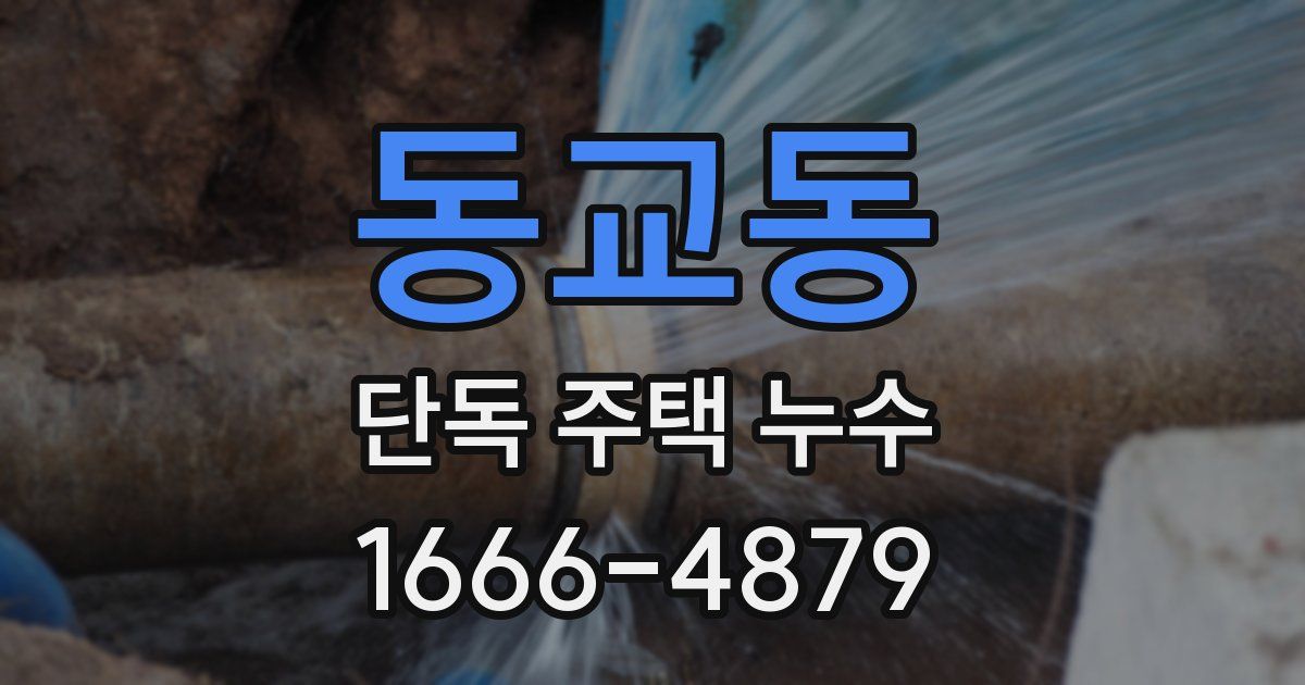 동교동 단독 주택 누수