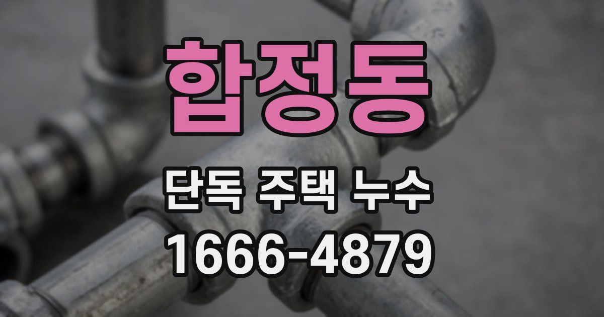 합정동 단독 주택 누수