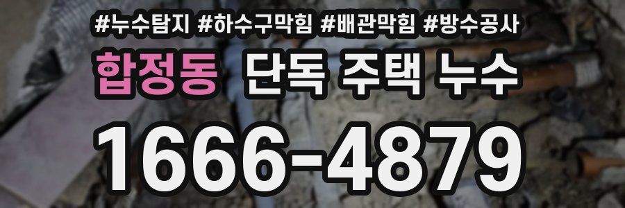 합정동 단독 주택 누수
