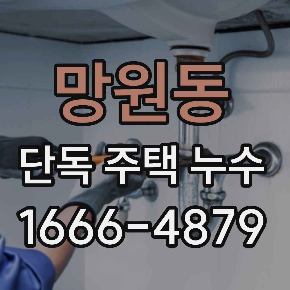 망원동 단독 주택 누수