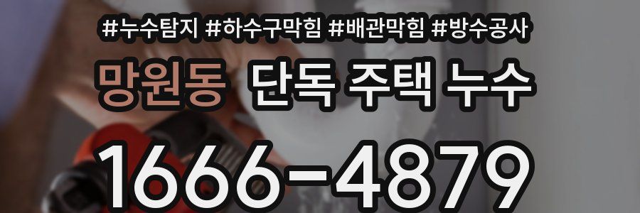 망원동 단독 주택 누수