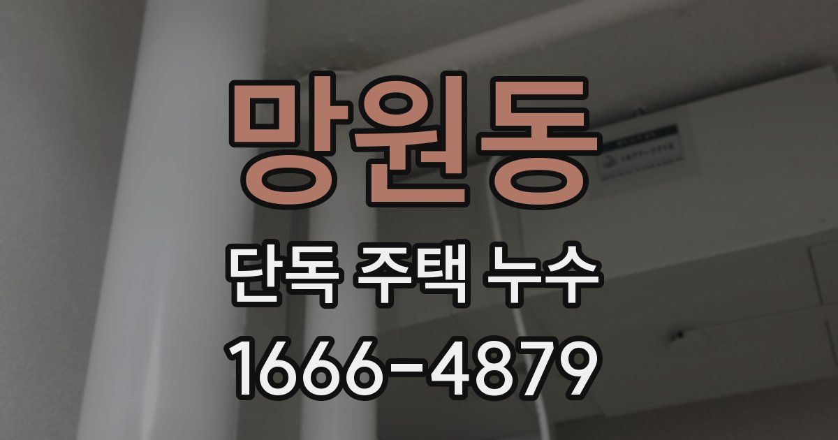 망원동 단독 주택 누수