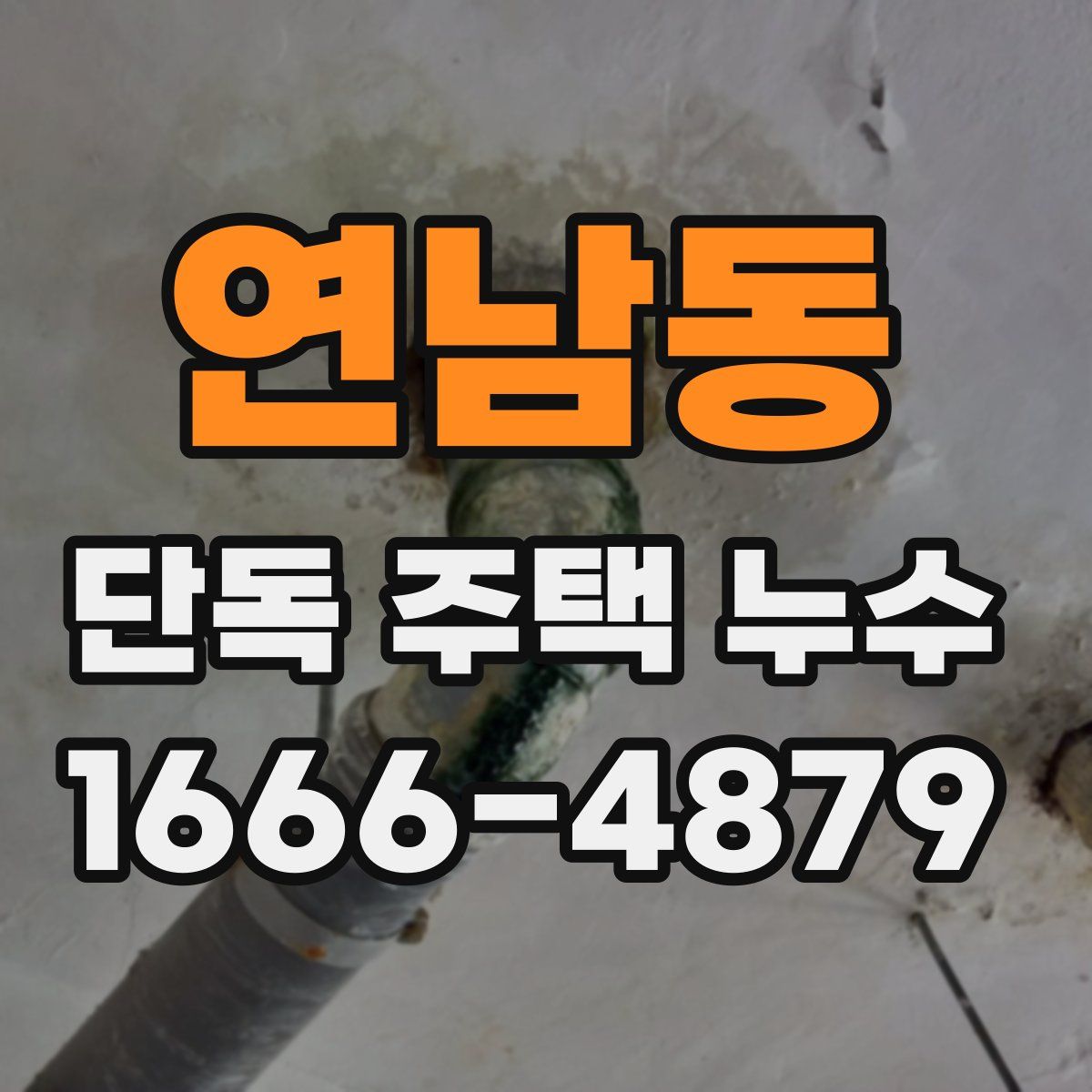연남동 단독 주택 누수