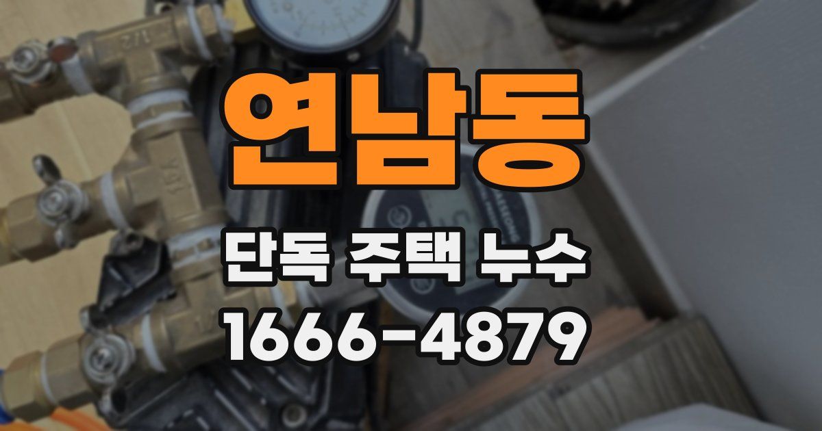 연남동 단독 주택 누수