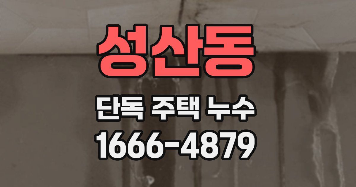 성산동 단독 주택 누수