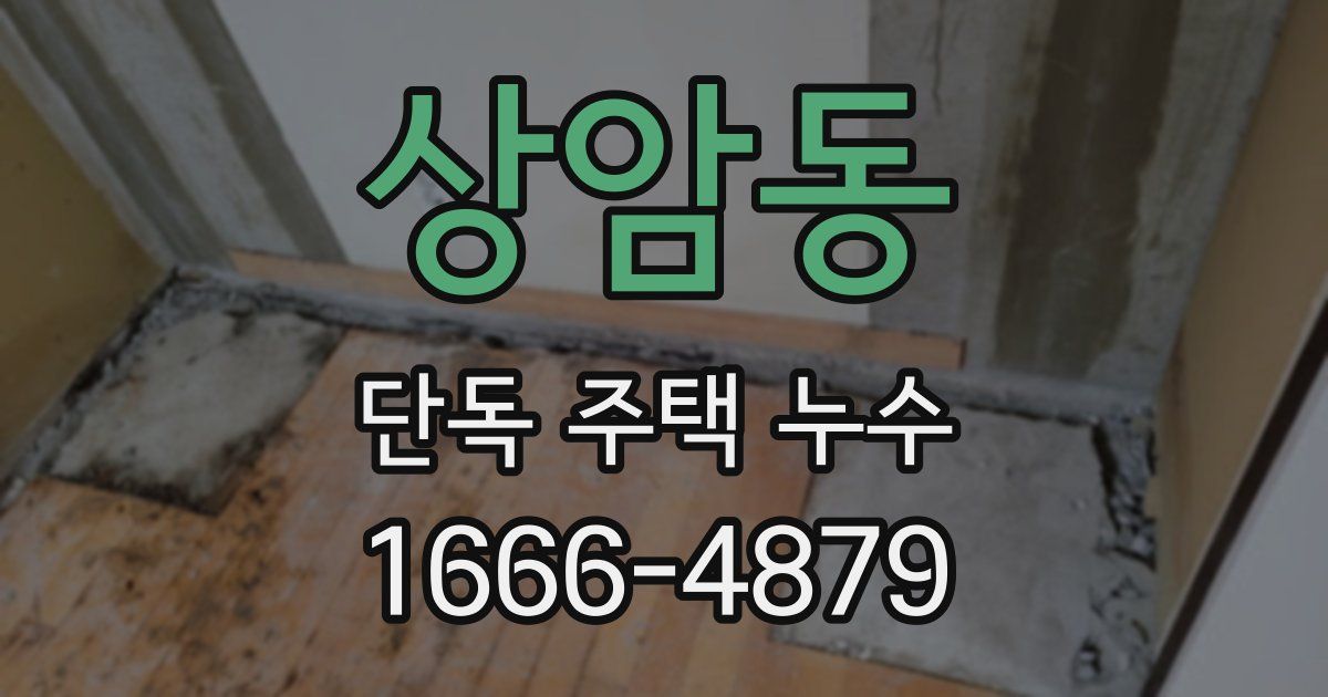 상암동 단독 주택 누수