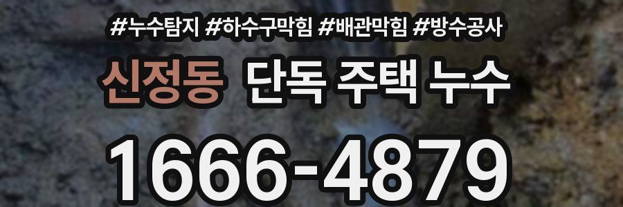 신정동 단독 주택 누수