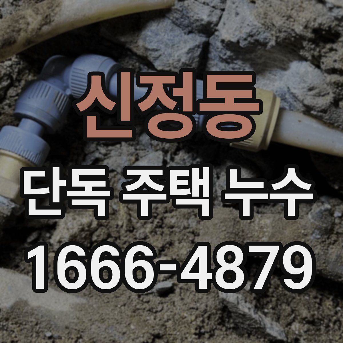 신정동 단독 주택 누수